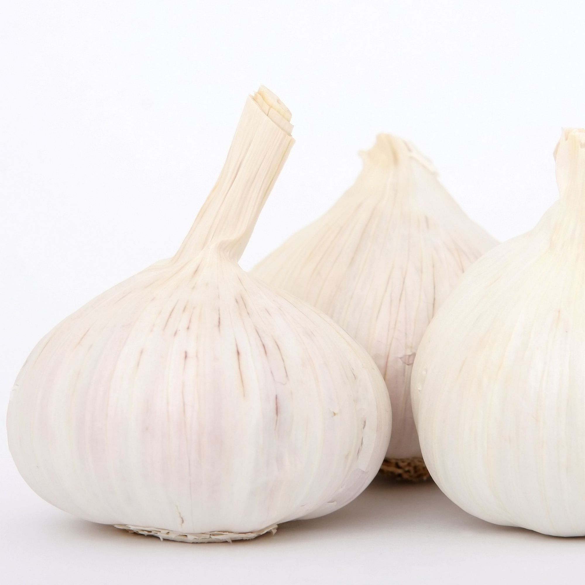 Garlic Bulbs - Softneck - Transylvanian - Sets For Planting in Fall - Bag of 3 Bulbs - Artichoke Group - Allium sativum - Garden